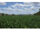 560 Westwood Road, Merriwa NSW 2329