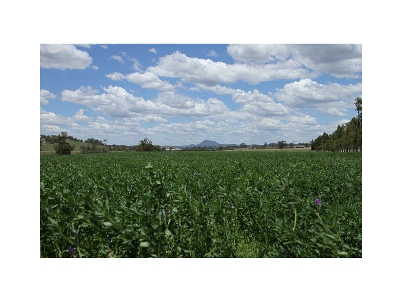 560 Westwood Road, Merriwa NSW 2329
