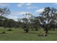 560 Westwood Road, Merriwa NSW 2329