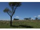 560 Westwood Road, Merriwa NSW 2329