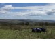 560 Westwood Road, Merriwa NSW 2329