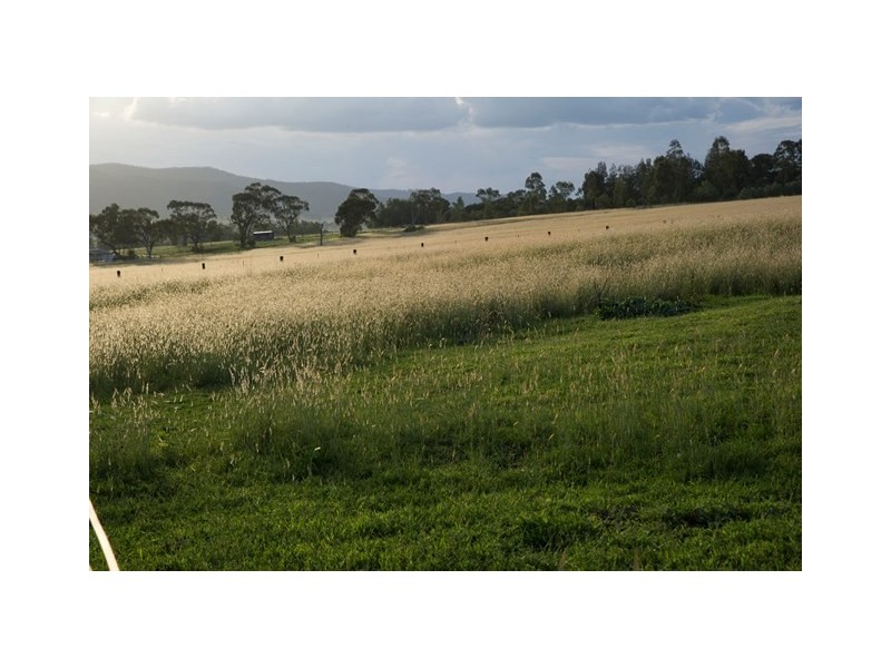 102 Allan Cunningham Road, Scone NSW 2337