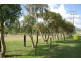 Lot 2, 30 Moobi Road, Scone NSW 2337
