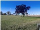 134 Allan Cunningham Road, Scone NSW 2337
