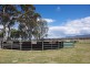 2016 New England Highway, Scone NSW 2337