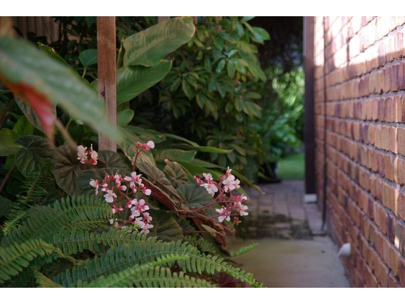 4 Askin PLACE, Scone NSW 2337