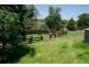 1655 Gundy ROAD, Scone NSW 2337