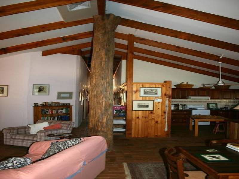 Dry Creek ROAD, Scone NSW 2337