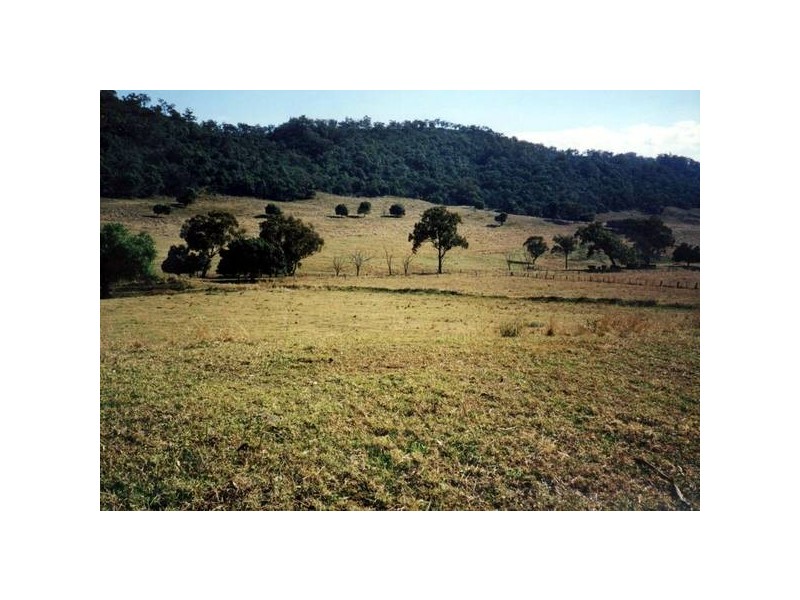 Scone NSW 2337
