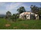 Scone NSW 2337