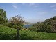 Scone NSW 2337