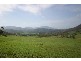 Scone NSW 2337