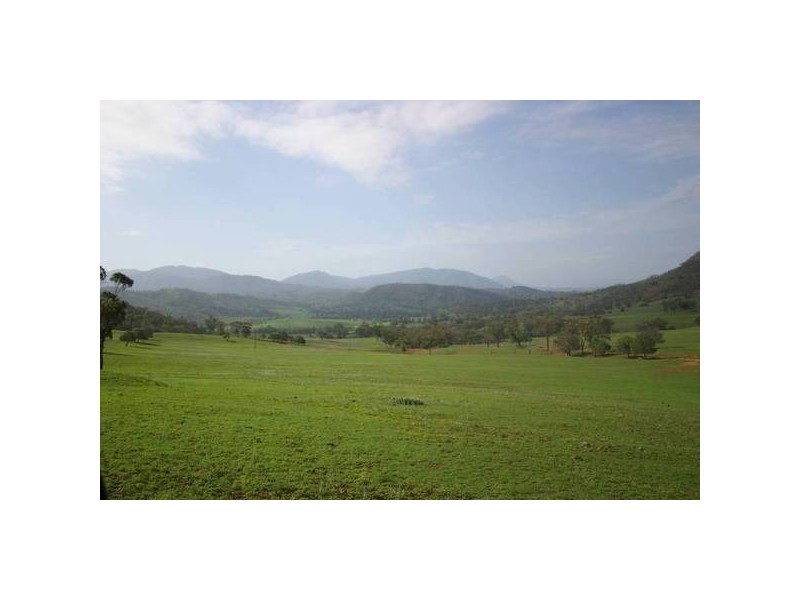 Scone NSW 2337