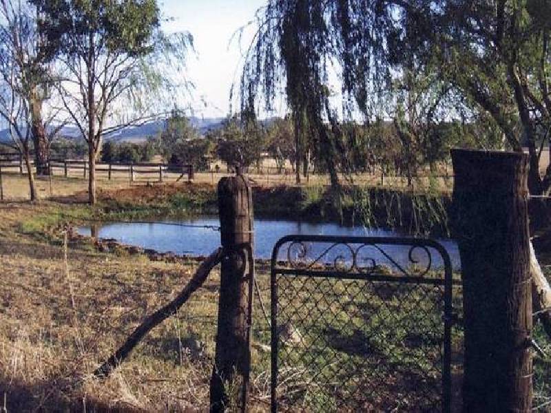 Timor Road, Blandford NSW 2338