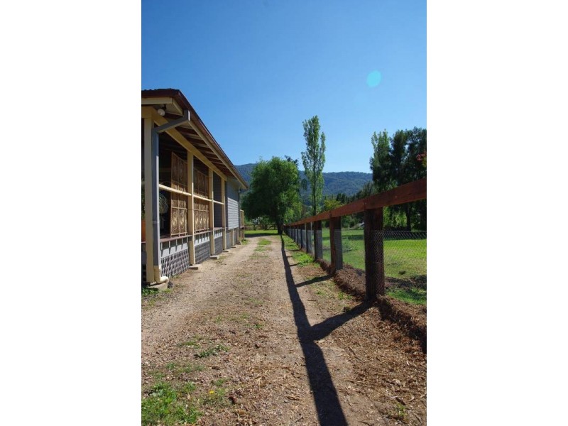 62 Haydon Street, Murrurundi NSW 2338