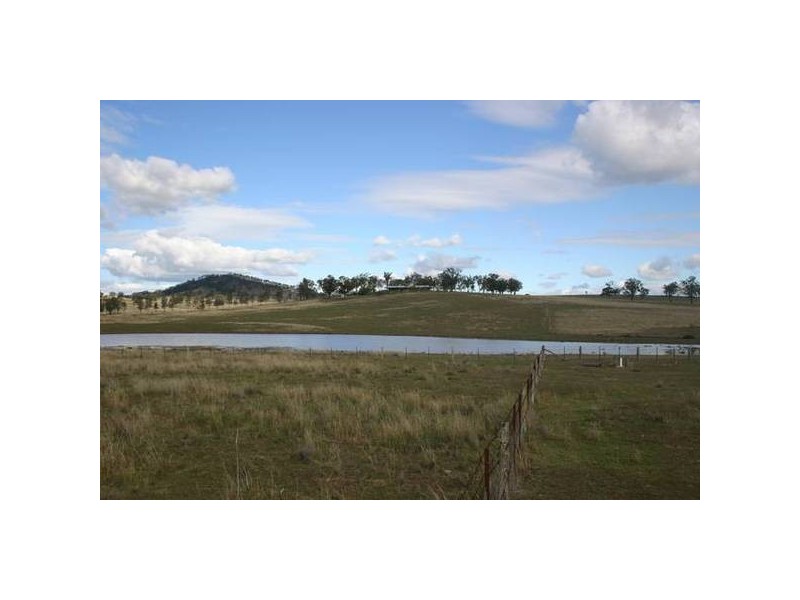 Gundy Road, Scone NSW 2337