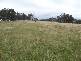 Ellerston NSW 2337