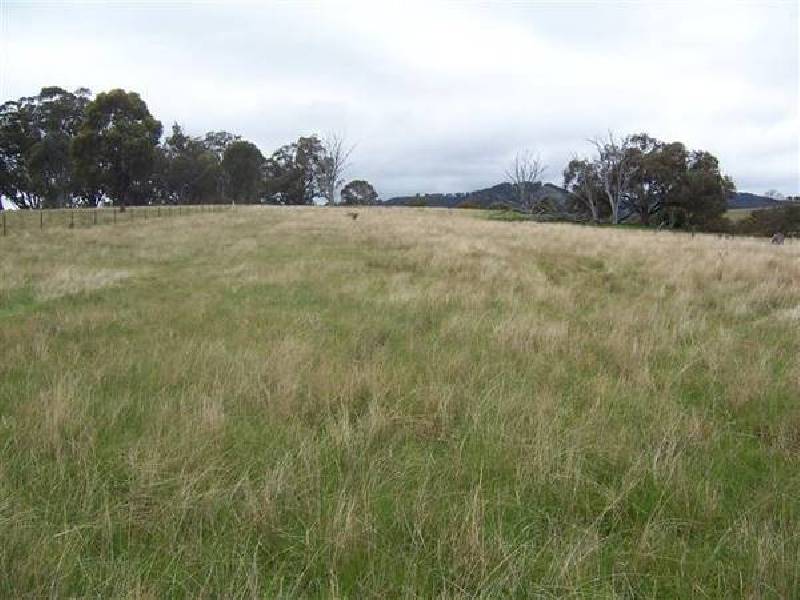 Ellerston NSW 2337