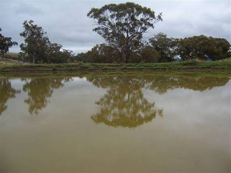 Ellerston NSW 2337