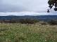 Ellerston NSW 2337