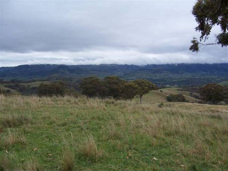 Ellerston NSW 2337