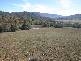 GUNDY ROAD, Gundy NSW 2337