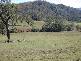 GUNDY ROAD, Gundy NSW 2337