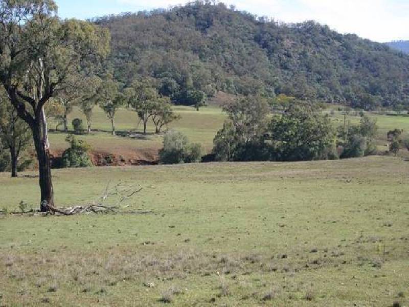 GUNDY ROAD, Gundy NSW 2337