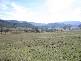 GUNDY ROAD, Gundy NSW 2337