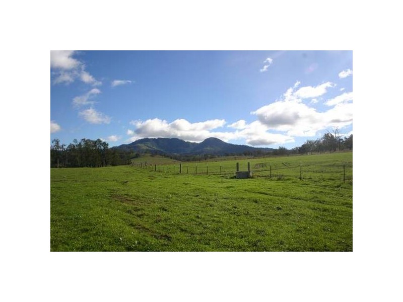 1 Ashbrook Road, Wingen NSW 2337