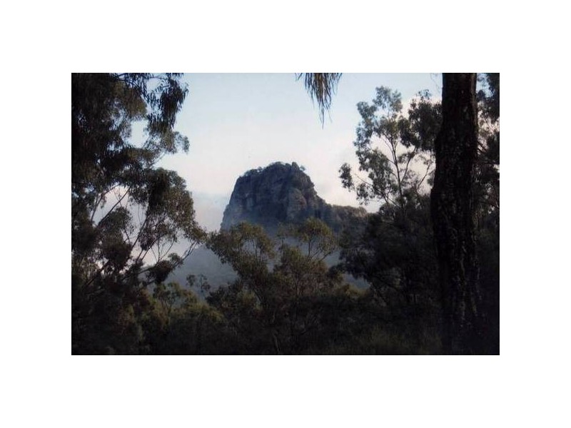 Dry Creek Road, Scone NSW 2337