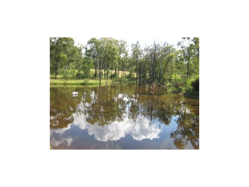 Dry Creek Road, Scone NSW 2337