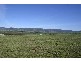 29 Allan Cunningham Road, Scone NSW 2337