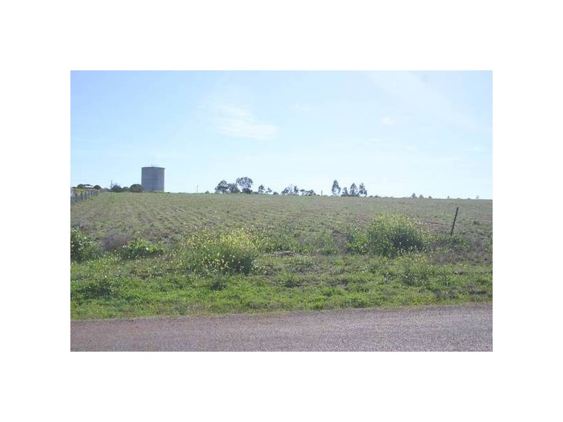 29 Allan Cunningham Road, Scone NSW 2337