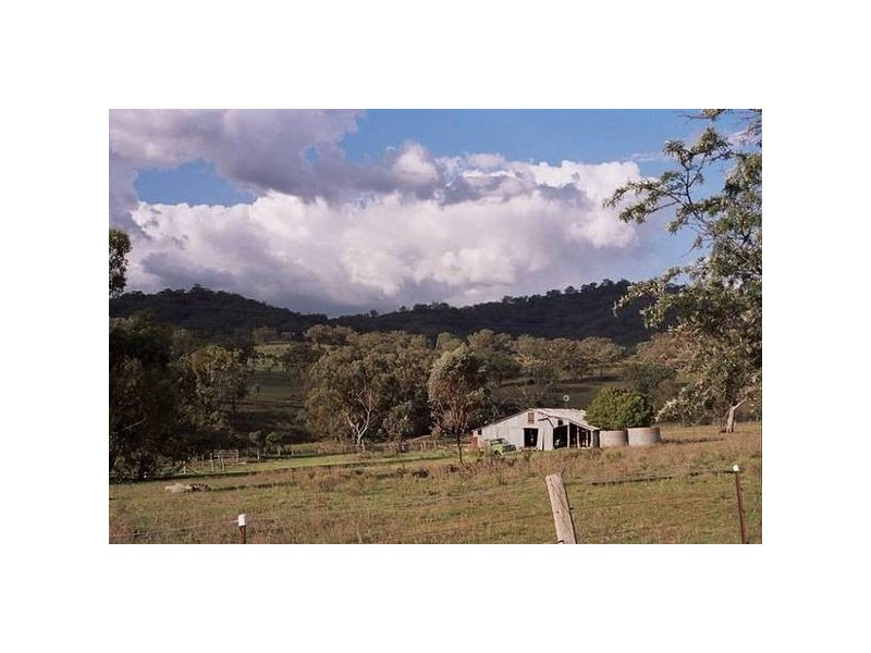 Phillips Creek Road, Willow Tree NSW 2339