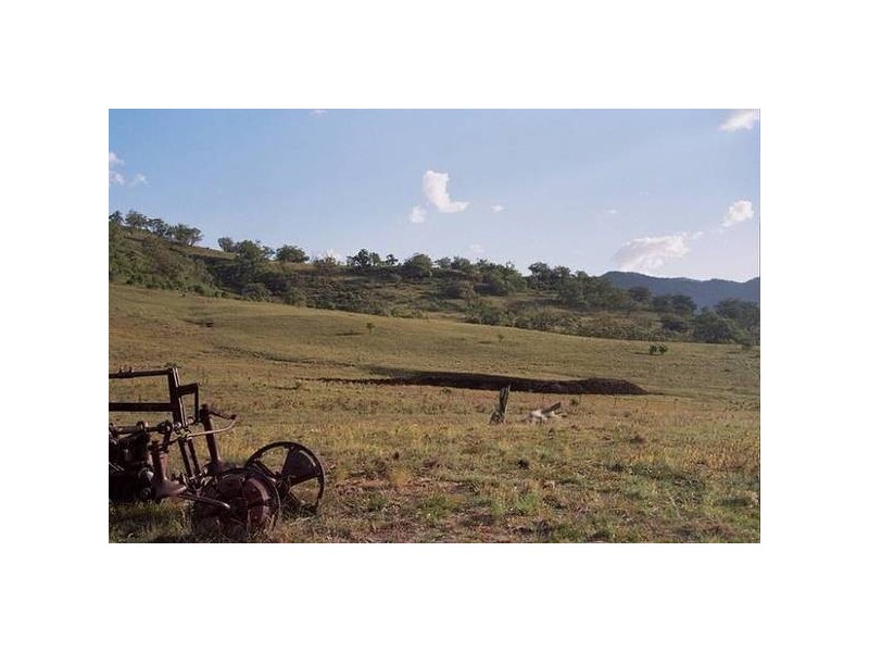 Phillips Creek Road, Willow Tree NSW 2339
