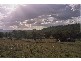 Phillips Creek Road, Willow Tree NSW 2339