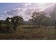 Phillips Creek Road, Willow Tree NSW 2339