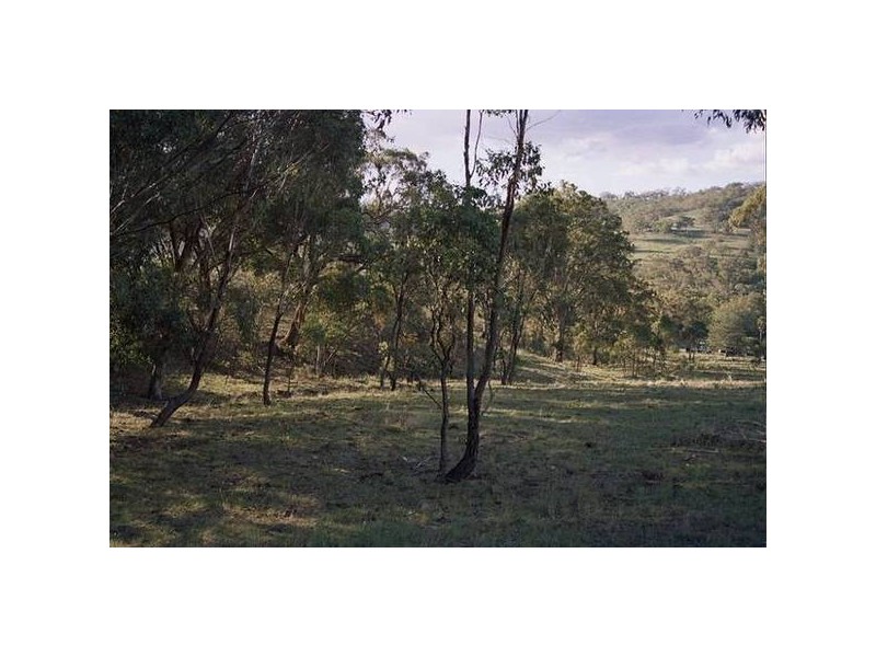 Phillips Creek Road, Willow Tree NSW 2339
