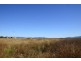 312 Allan Cunningham Drive, Scone NSW 2337