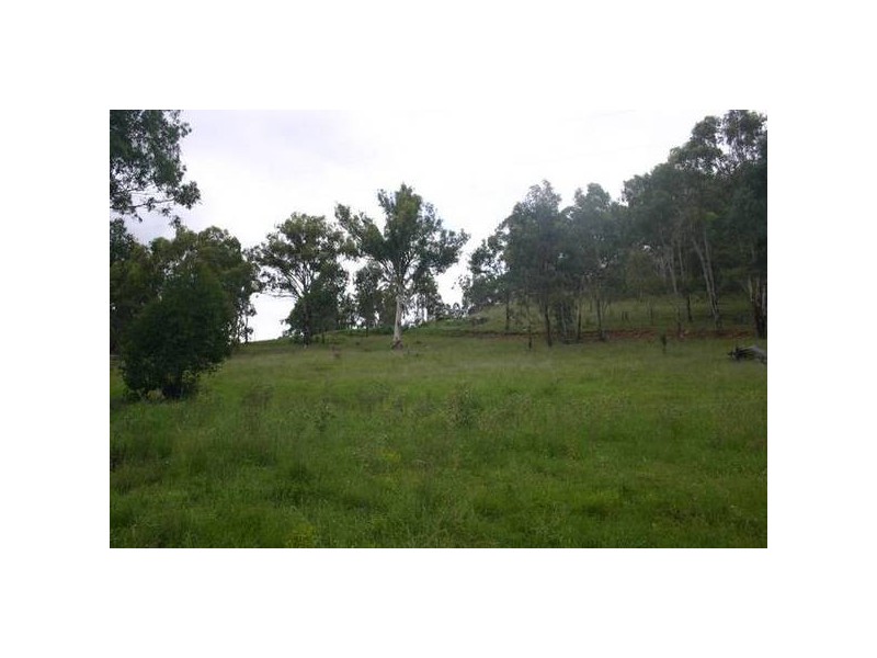 113,124 Moonan Brook Road, Scone NSW 2337