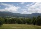 9 Murrulla Street, Murrurundi NSW 2338