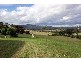 Bunnan Rd, Scone NSW 2337