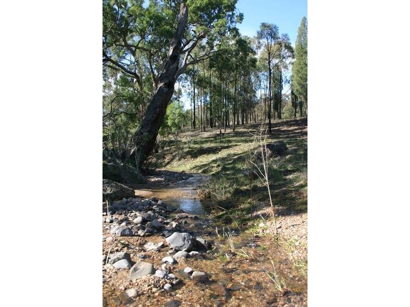 Bunnan Rd, Scone NSW 2337
