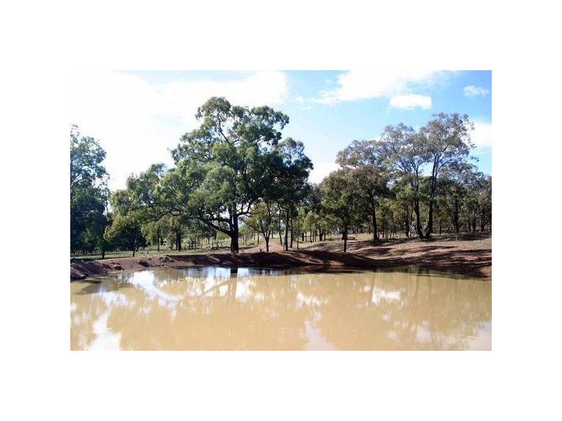 Bunnan Rd, Scone NSW 2337