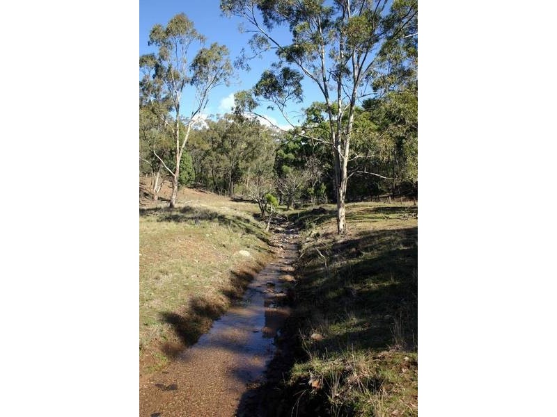 Bunnan Rd, Scone NSW 2337
