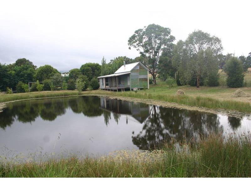 15 Finch Street, Blandford NSW 2338