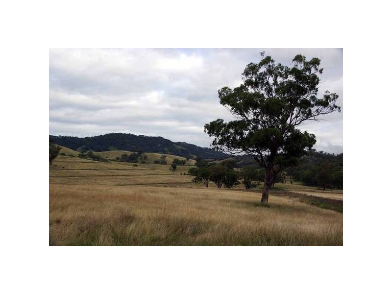 Tinseys Road, Timor NSW 2338