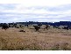 Tinseys Road, Timor NSW 2338