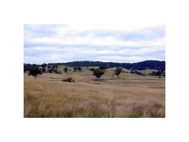 Tinseys Road, Timor NSW 2338